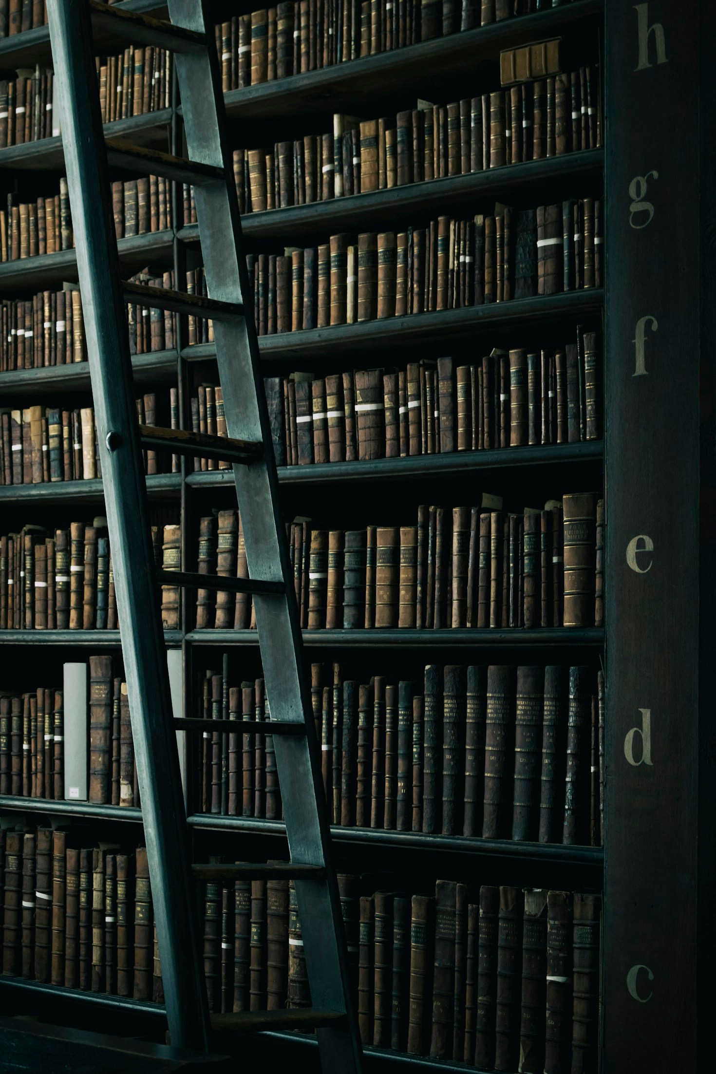 L’importanza della lettura nella vita moderna